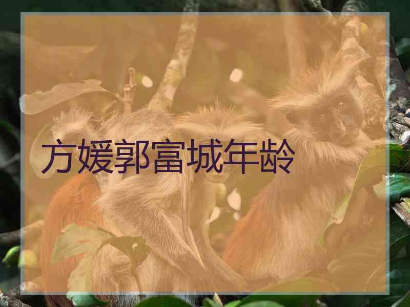 方媛郭富城年龄