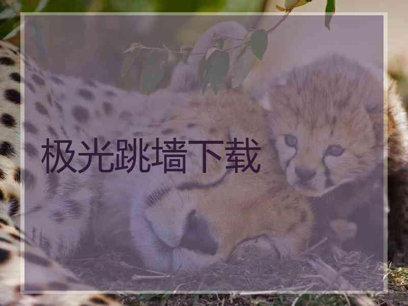 极光跳墙下载