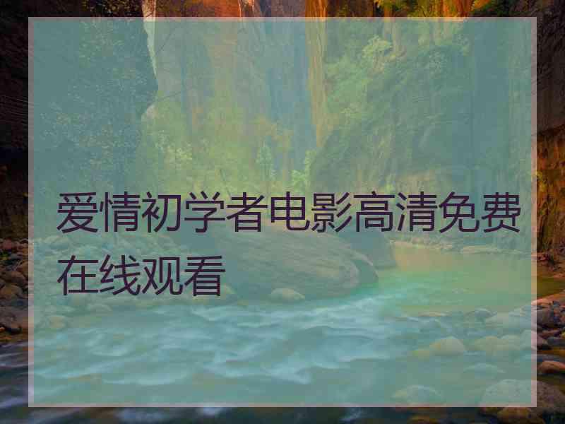 爱情初学者电影高清免费在线观看