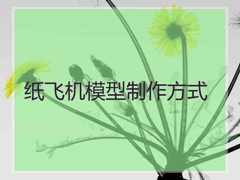 纸飞机模型制作方式