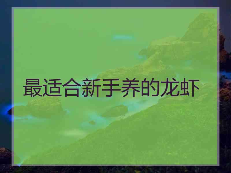 最适合新手养的龙虾