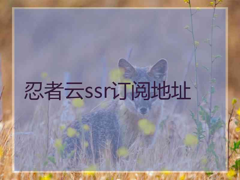 忍者云ssr订阅地址