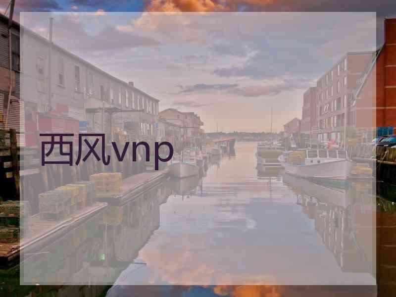 西风vnp
