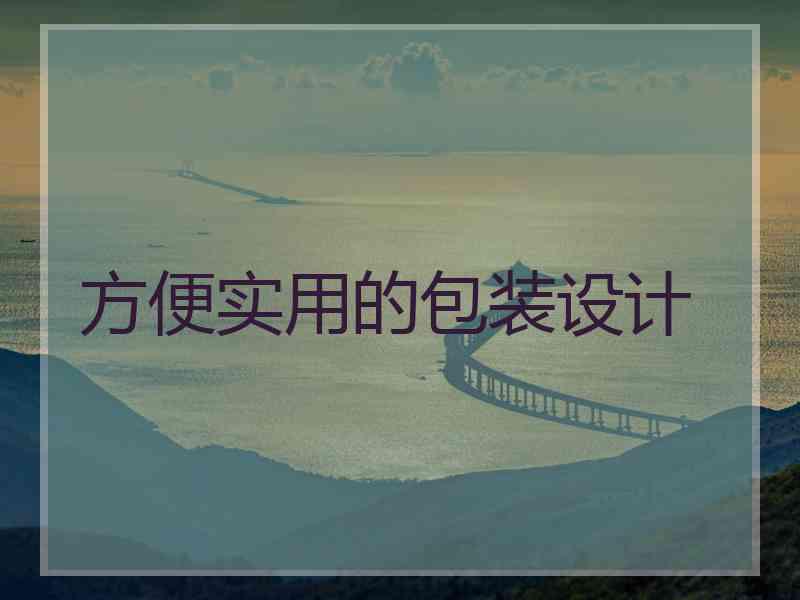 方便实用的包装设计