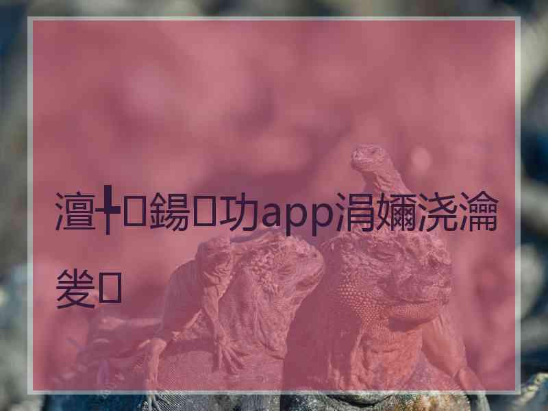 澶╄鍚功app涓嬭浇瀹夎