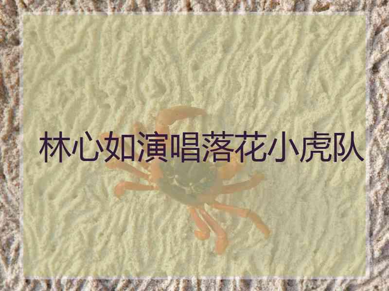 林心如演唱落花小虎队