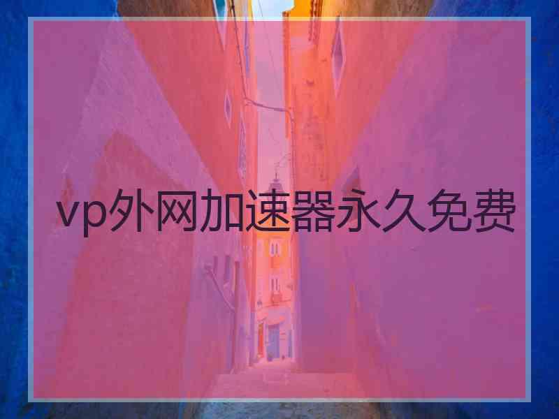 vp外网加速器永久免费