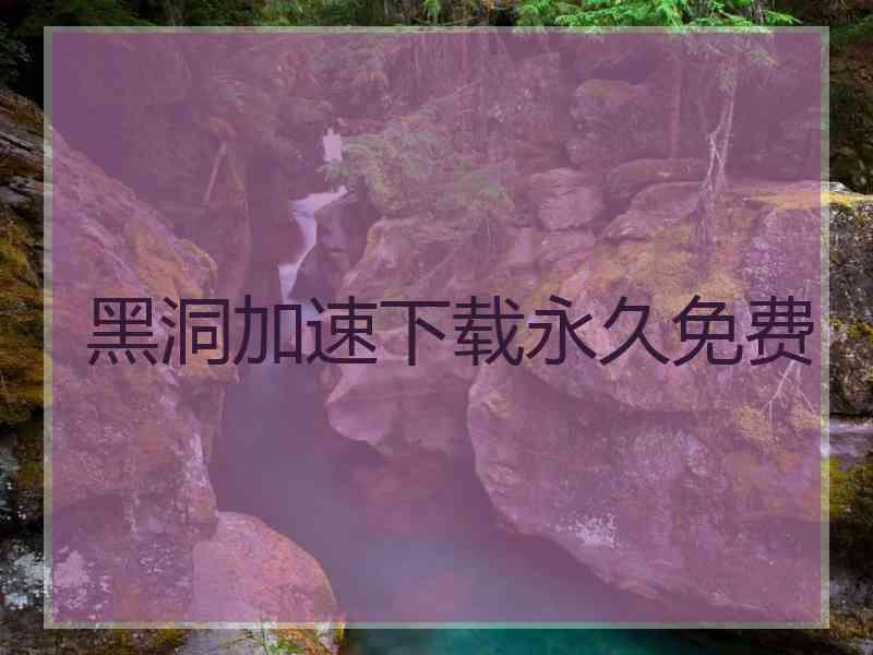 黑洞加速下载永久免费