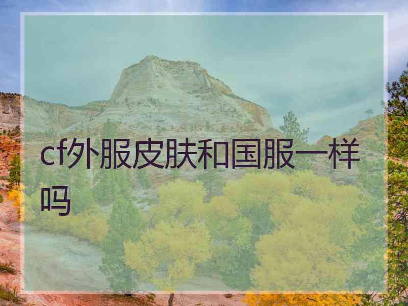 cf外服皮肤和国服一样吗