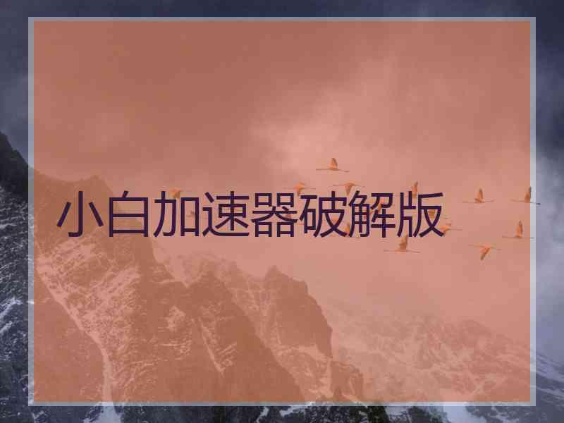 小白加速器破解版