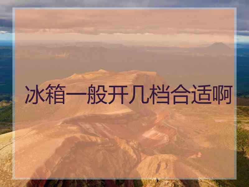 冰箱一般开几档合适啊