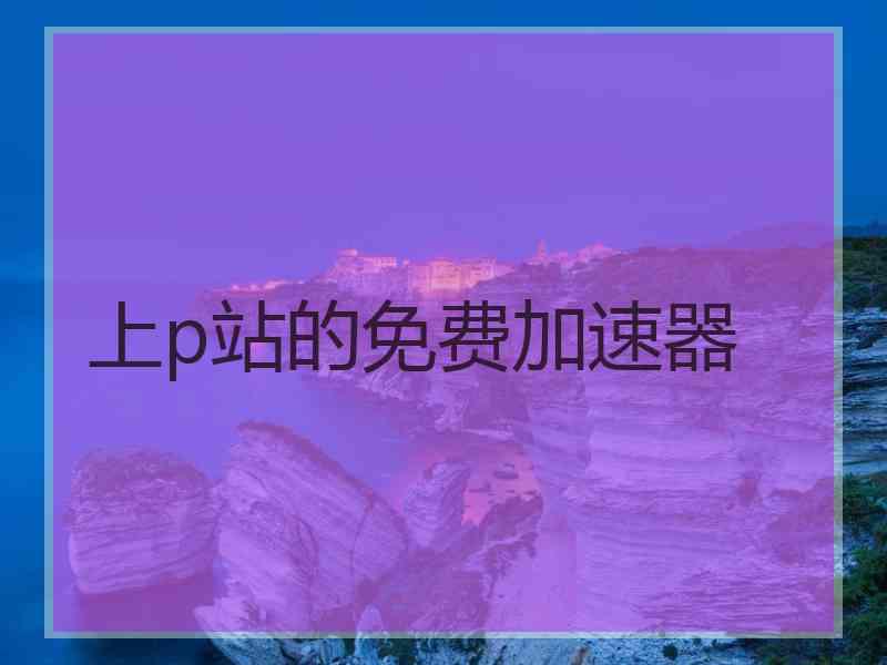 上p站的免费加速器