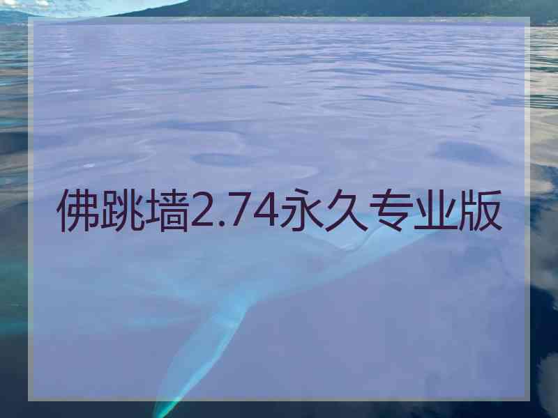 佛跳墙2.74永久专业版