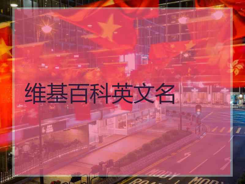 维基百科英文名
