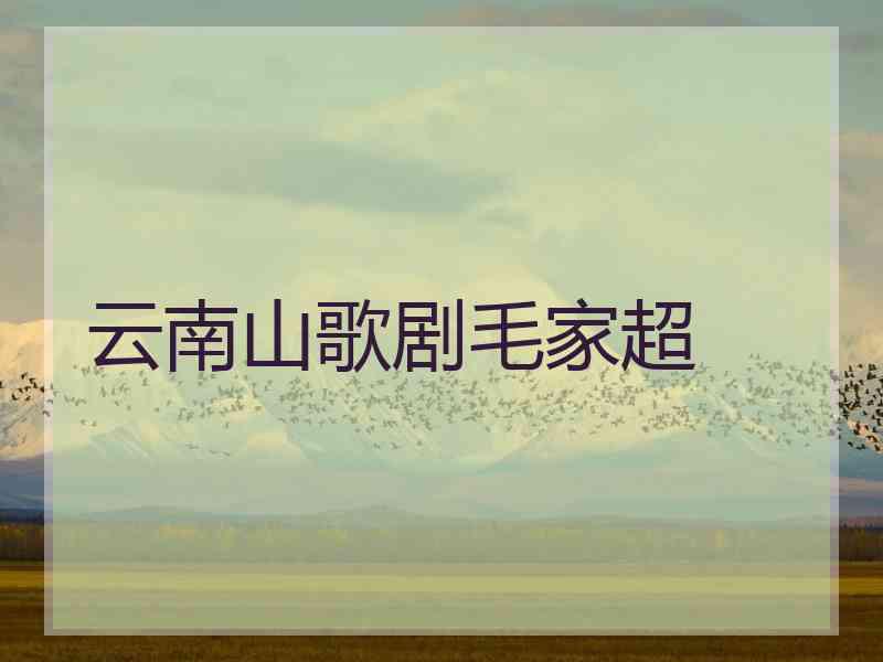 云南山歌剧毛家超