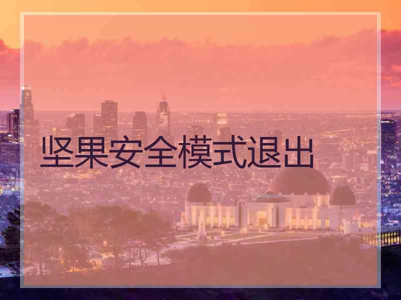坚果安全模式退出