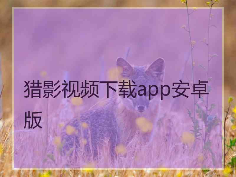 猎影视频下载app安卓版