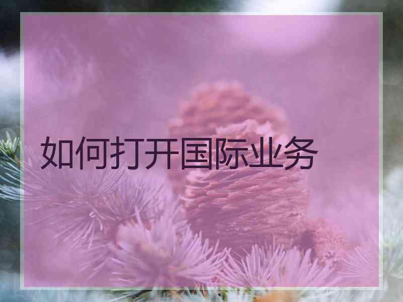 如何打开国际业务