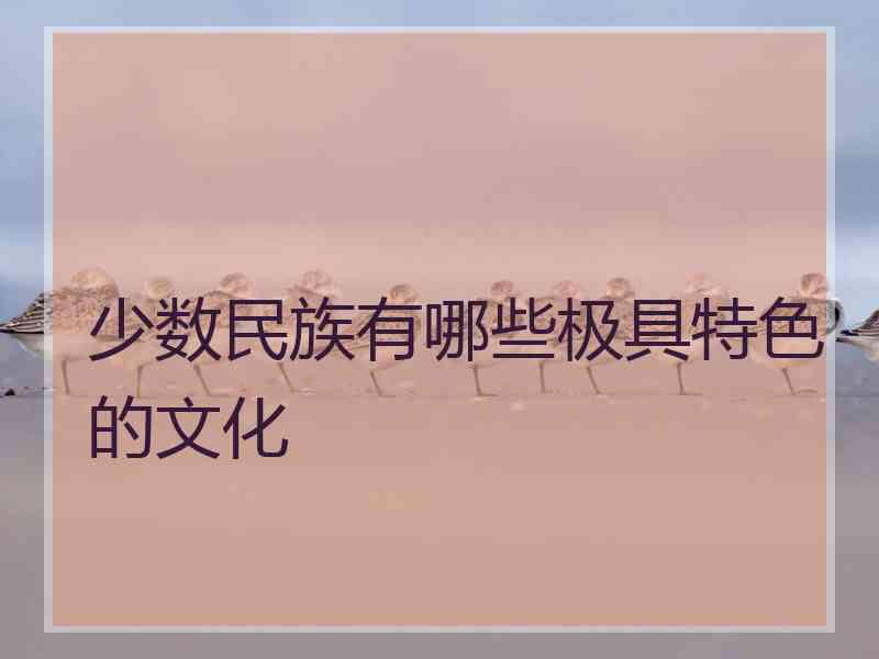 少数民族有哪些极具特色的文化