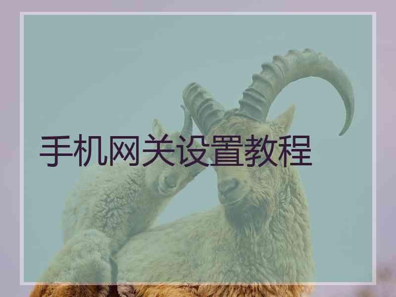 手机网关设置教程