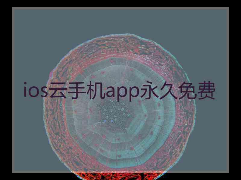 ios云手机app永久免费