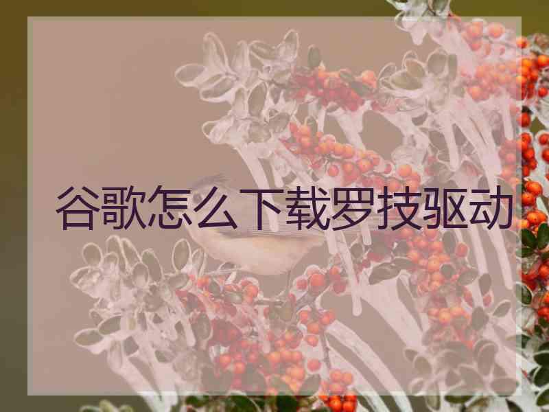 谷歌怎么下载罗技驱动