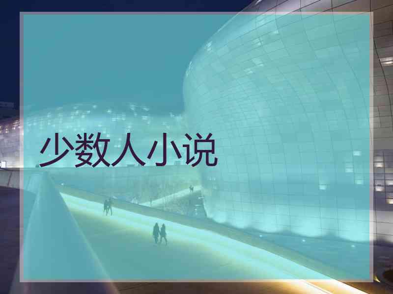 少数人小说
