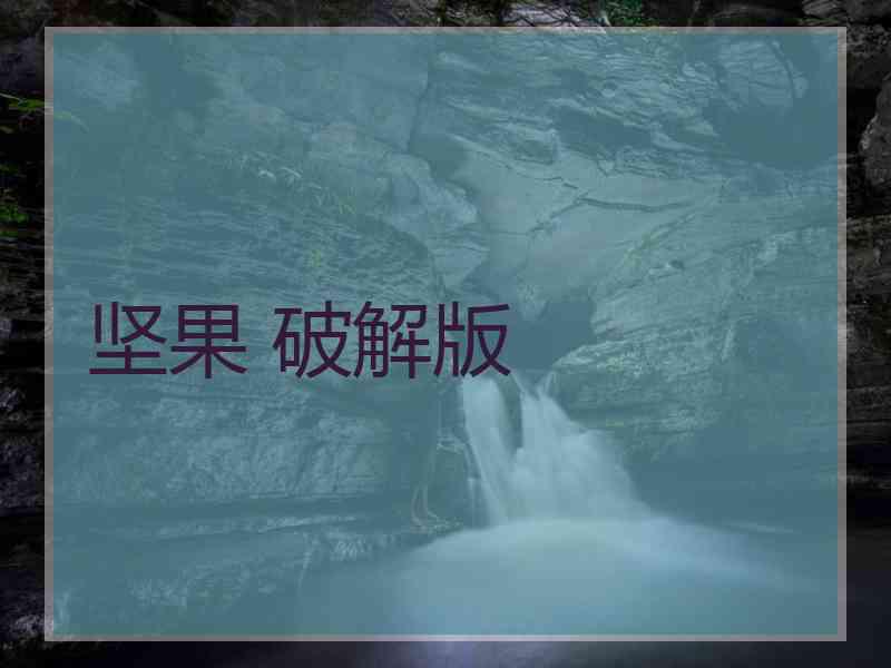 坚果 破解版