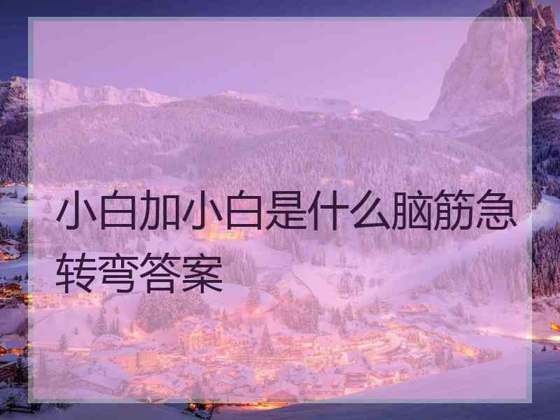 小白加小白是什么脑筋急转弯答案