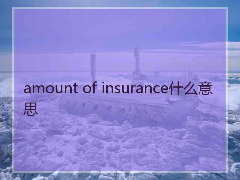 amount of insurance什么意思