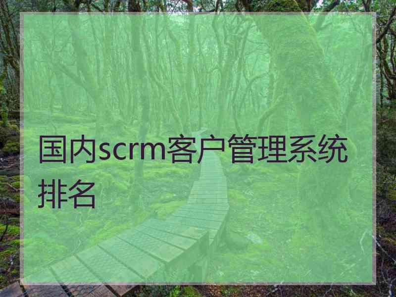 国内scrm客户管理系统排名