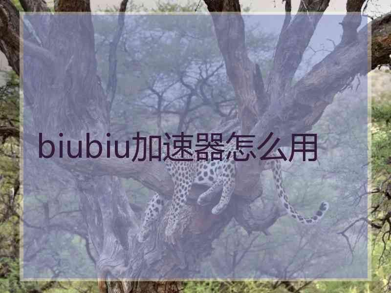biubiu加速器怎么用