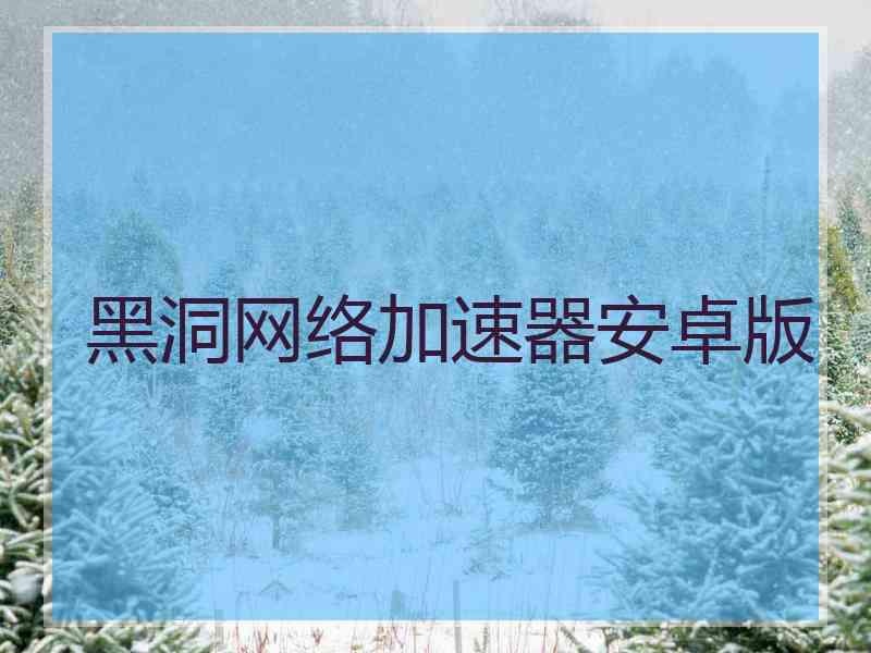黑洞网络加速器安卓版