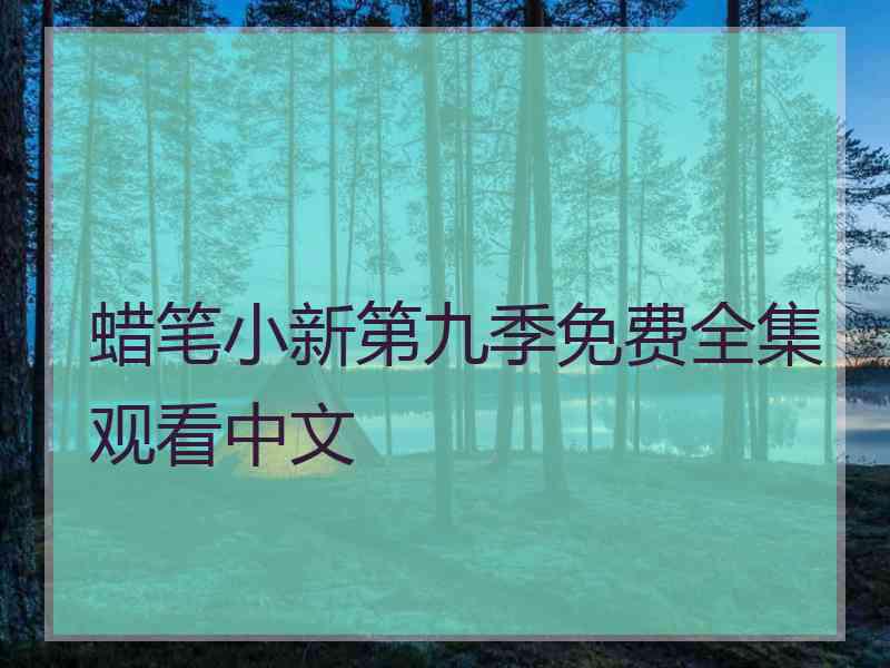 蜡笔小新第九季免费全集观看中文