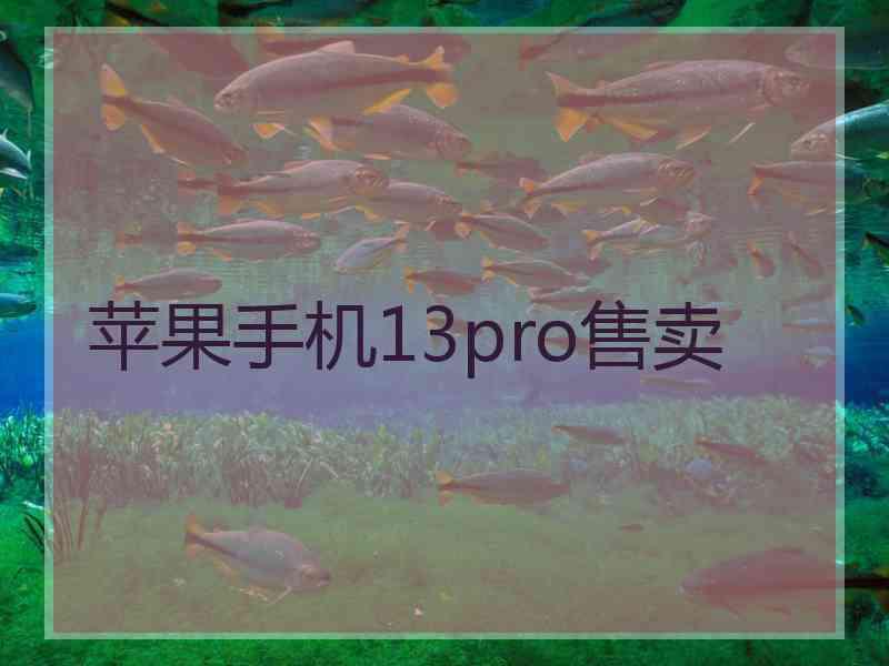 苹果手机13pro售卖