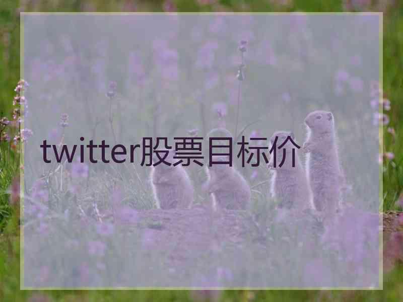twitter股票目标价