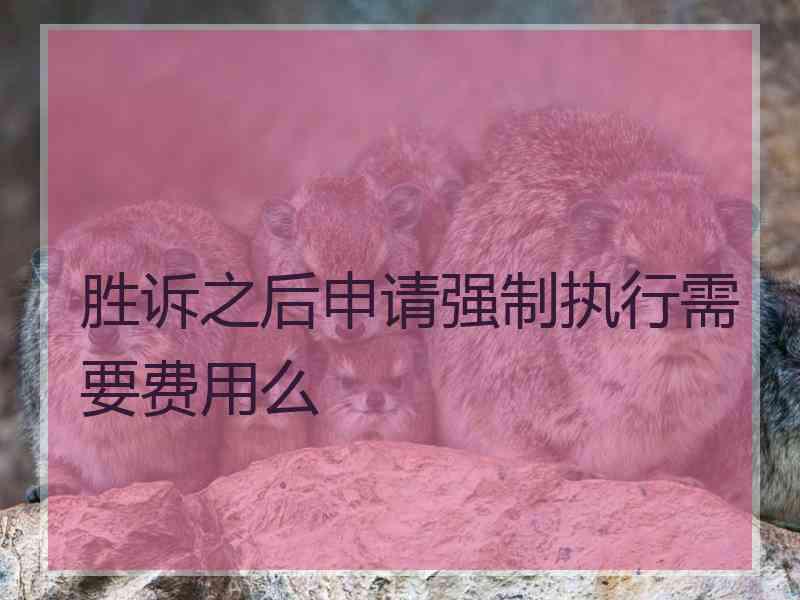 胜诉之后申请强制执行需要费用么