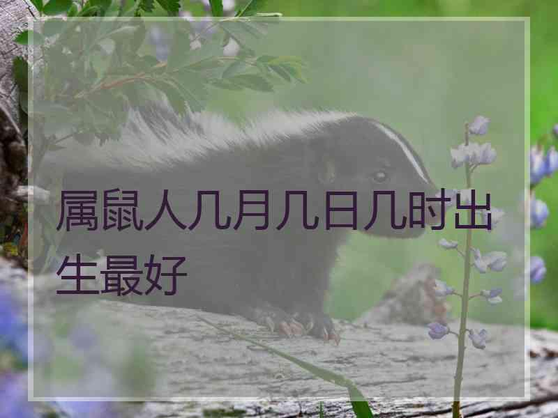 属鼠人几月几日几时出生最好