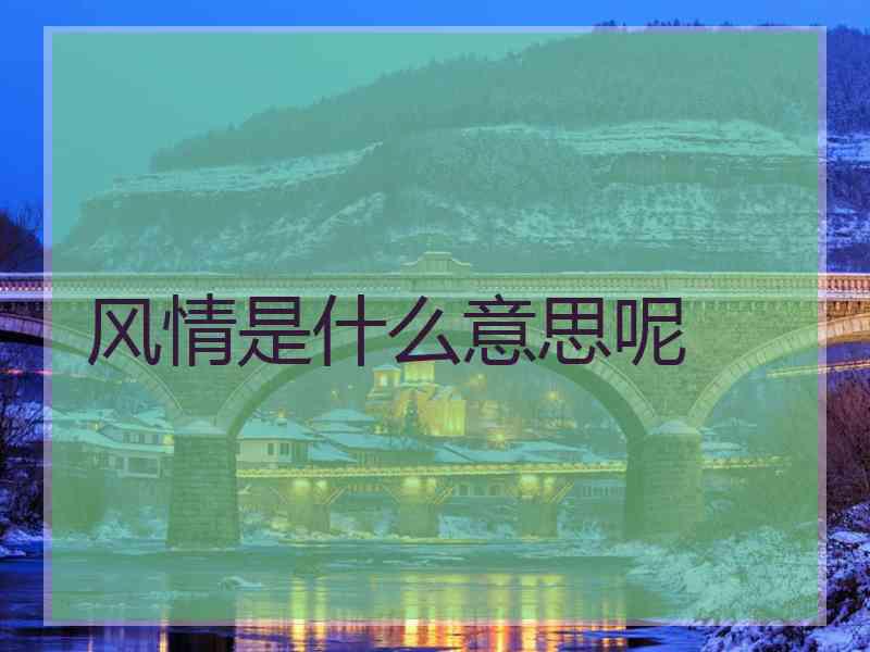 风情是什么意思呢