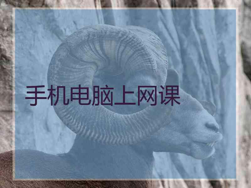 手机电脑上网课