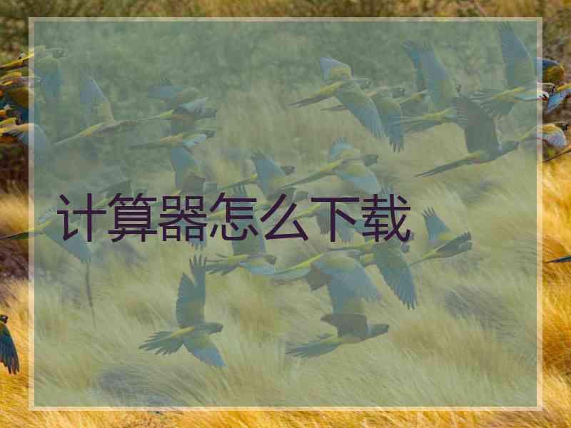 计算器怎么下载