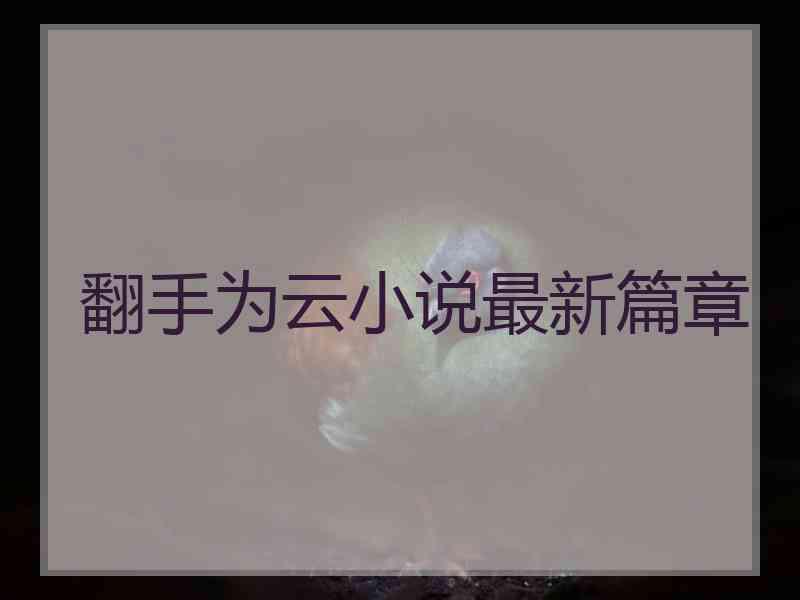翻手为云小说最新篇章