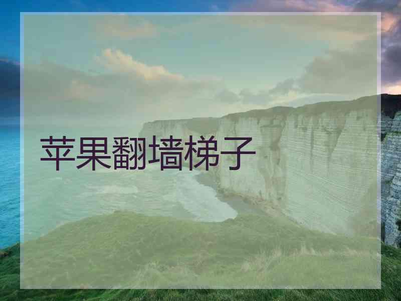 苹果翻墙梯子