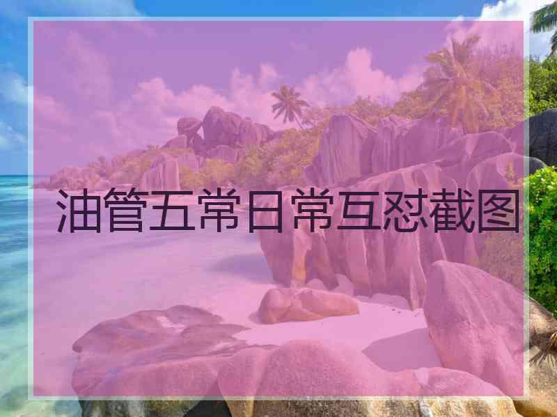 油管五常日常互怼截图