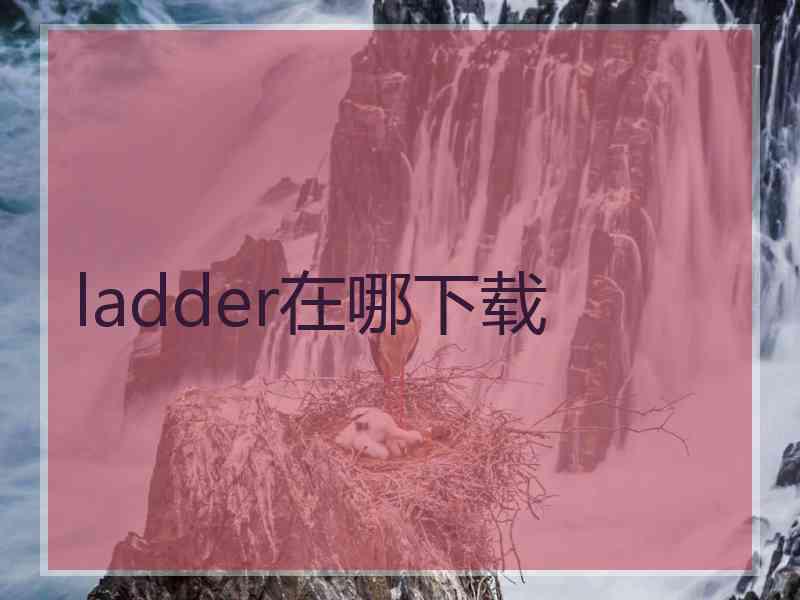 ladder在哪下载