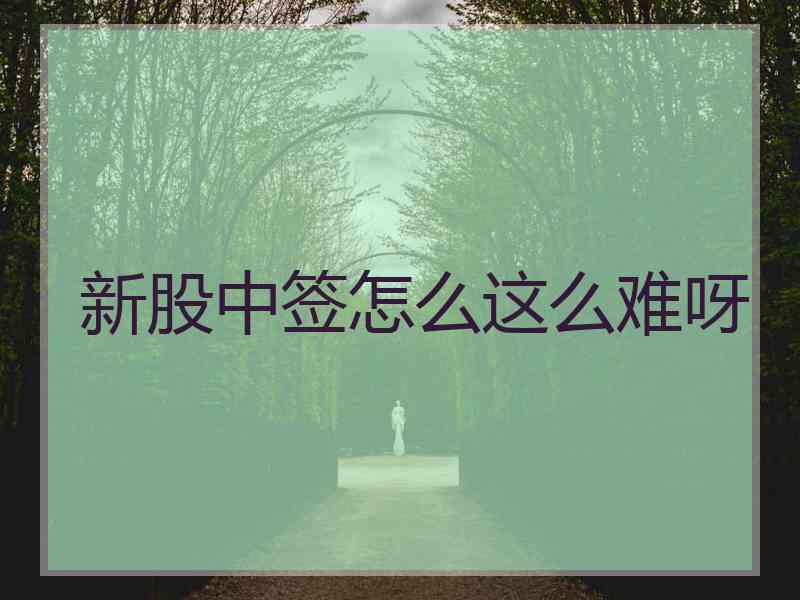 新股中签怎么这么难呀