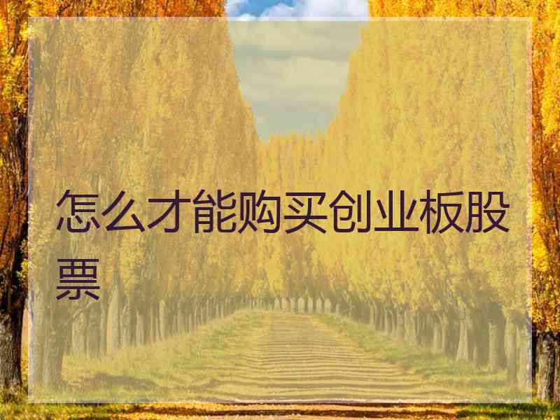 怎么才能购买创业板股票