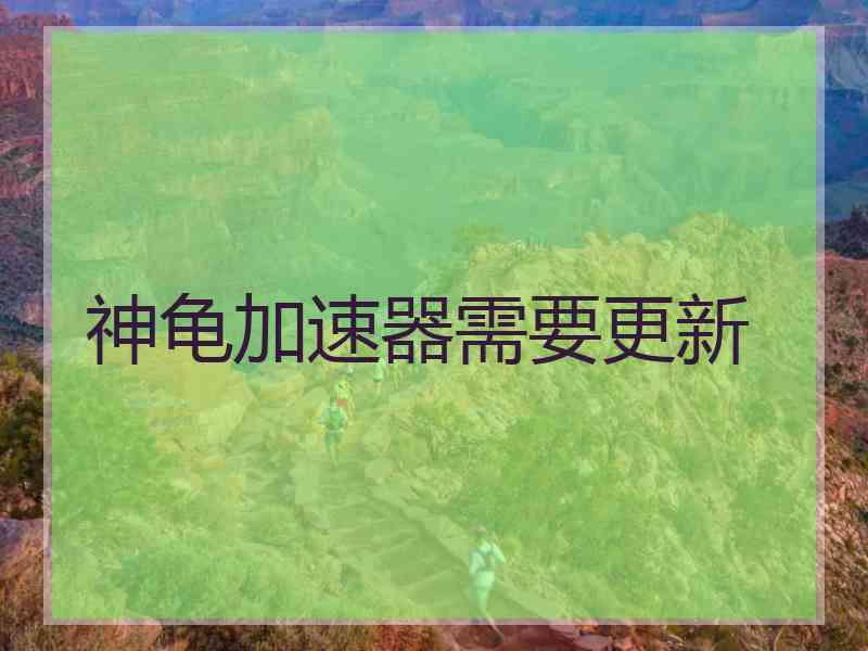 神龟加速器需要更新