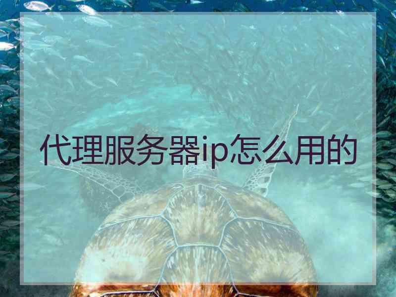 代理服务器ip怎么用的