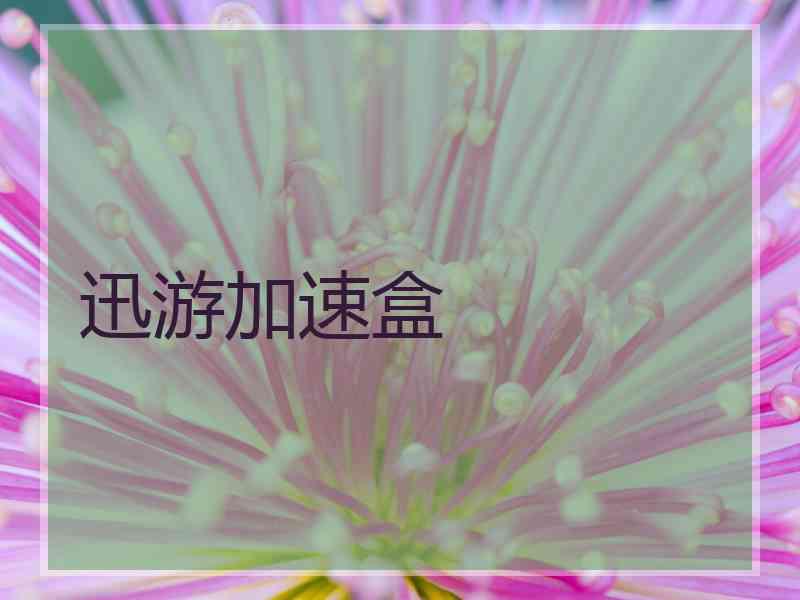 迅游加速盒